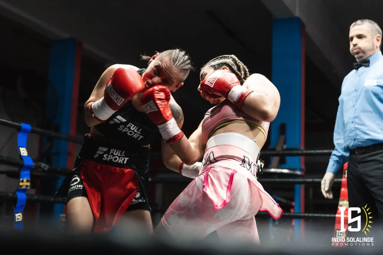 Fila de bolsas de golpeo pesado en el sector de boxeo