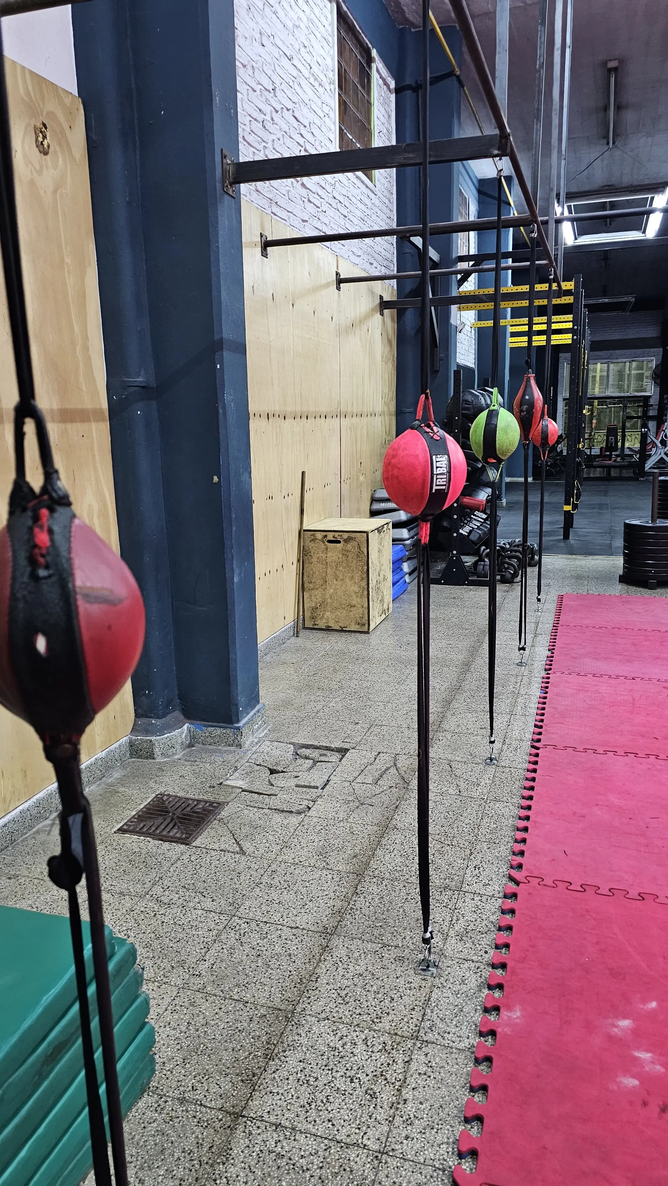 Sala de musculación y pesas libres del Gimnasio Boxer Morón
